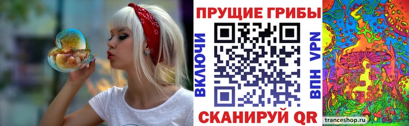 Псилоцибиновые грибы ЛСД  Оса 